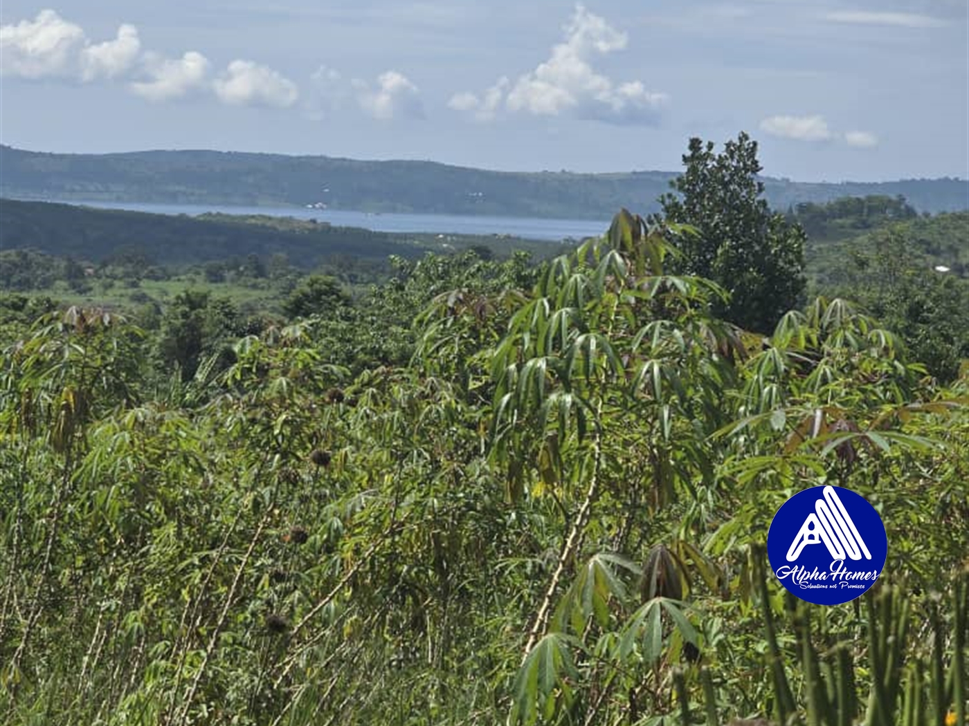 Agricultural Land for sale in Katosi Mukono