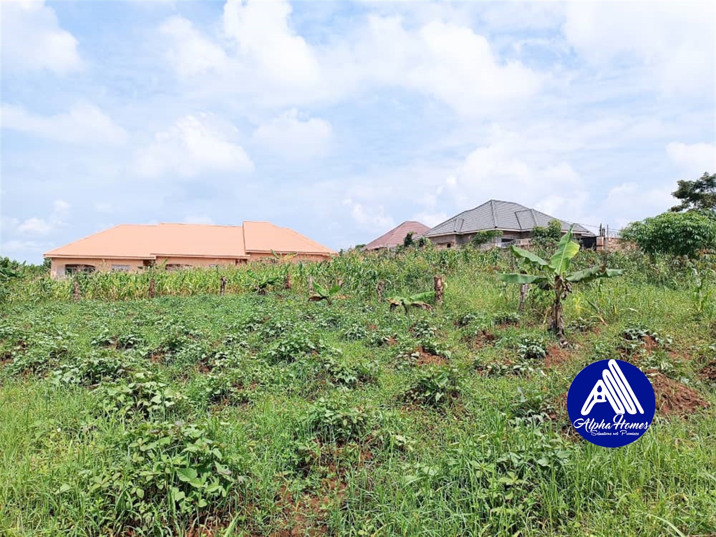 Residential Land for sale in Bukeelele Mukono