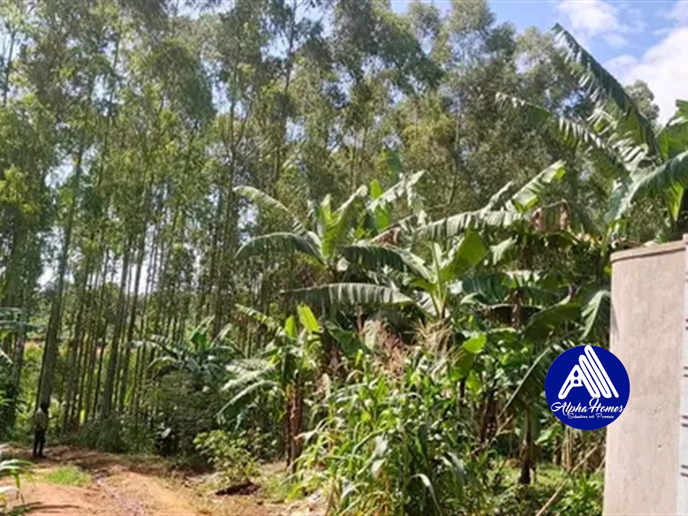 Multipurpose Land for sale in Kasangati Wakiso