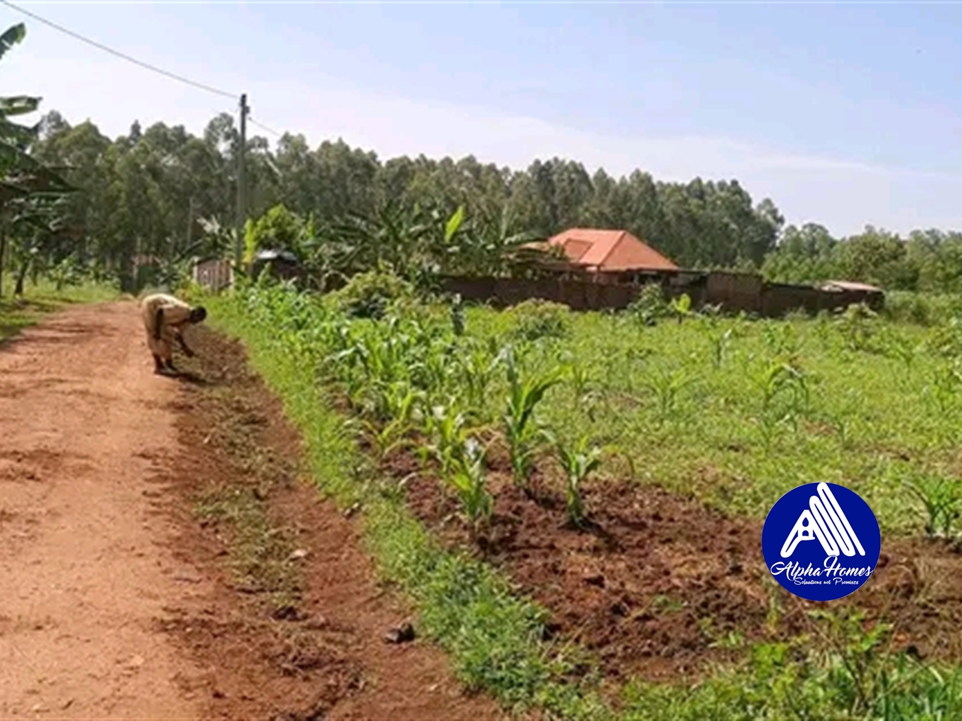 Multipurpose Land for sale in Kasangati Wakiso