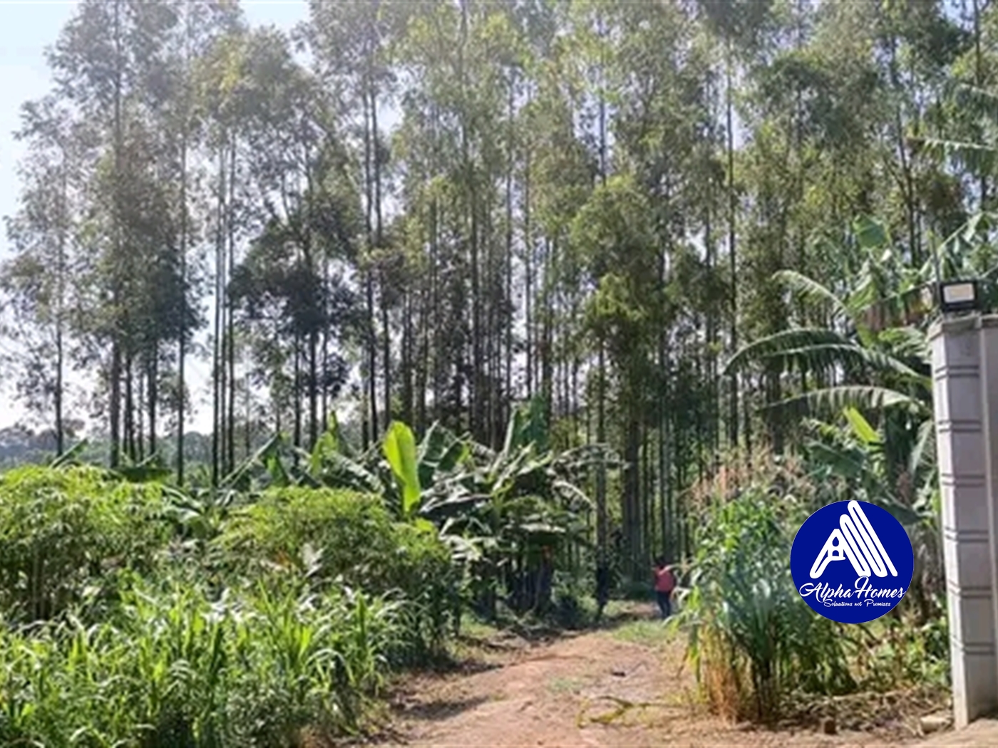 Multipurpose Land for sale in Kasangati Wakiso