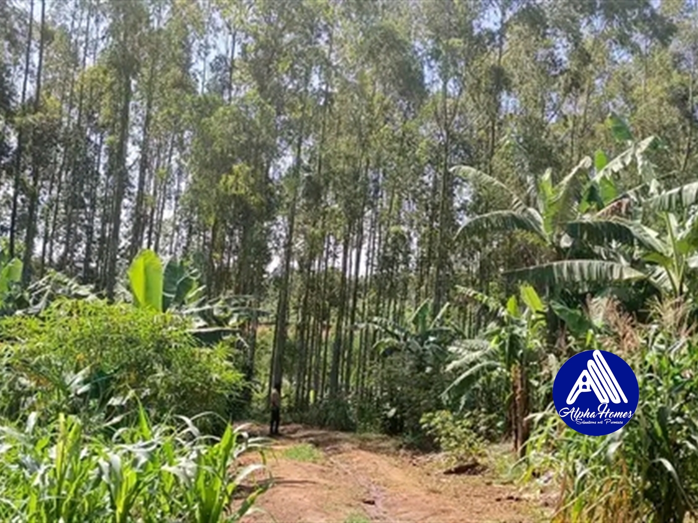 Multipurpose Land for sale in Kasangati Wakiso