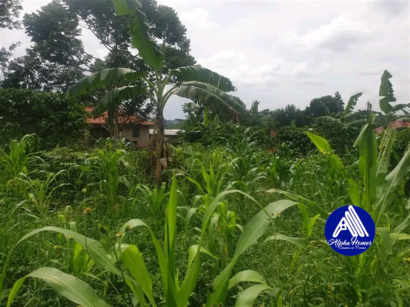 Residential Land for sale in Kabembe Mukono