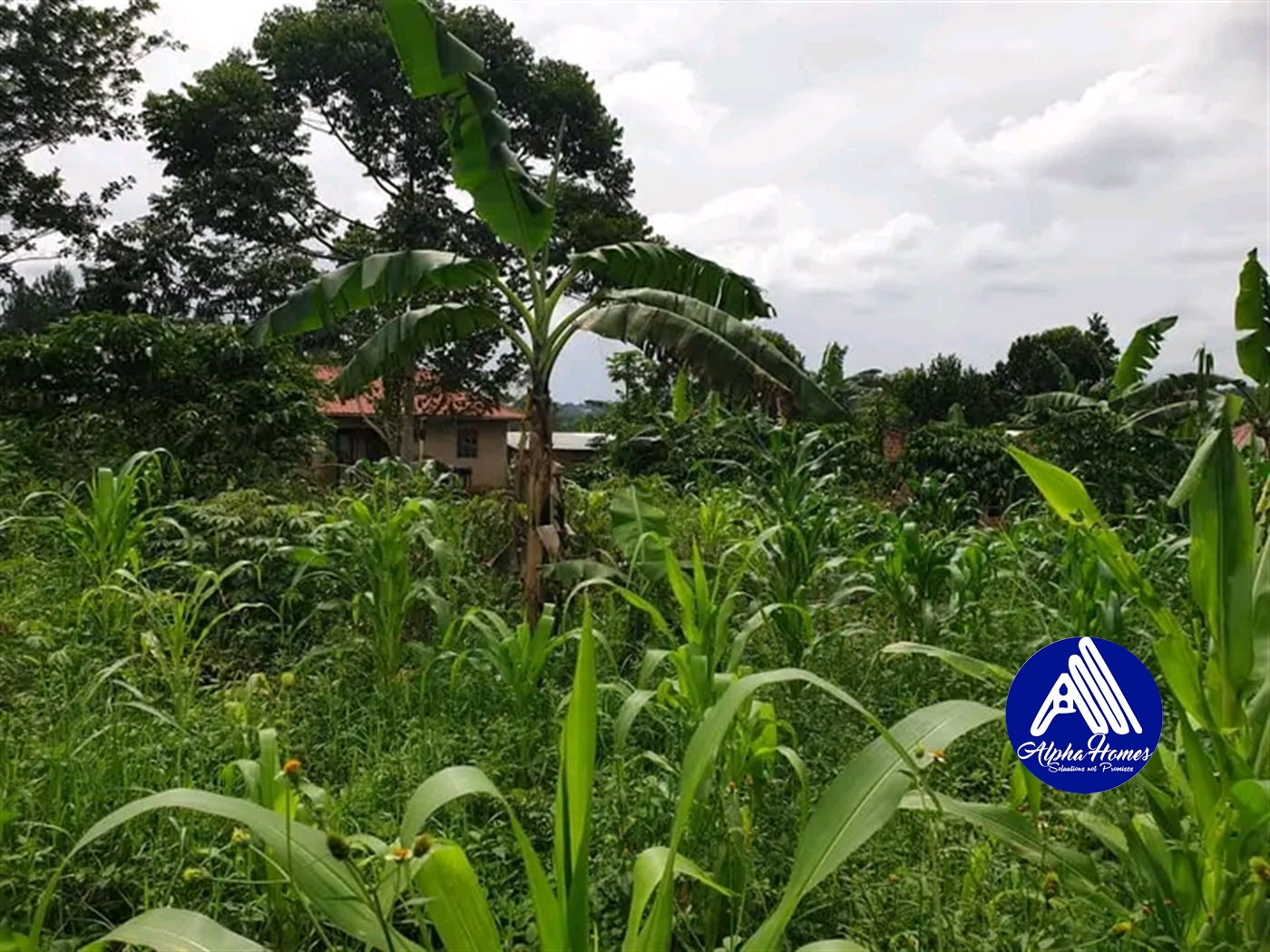 Residential Land for sale in Kabembe Mukono