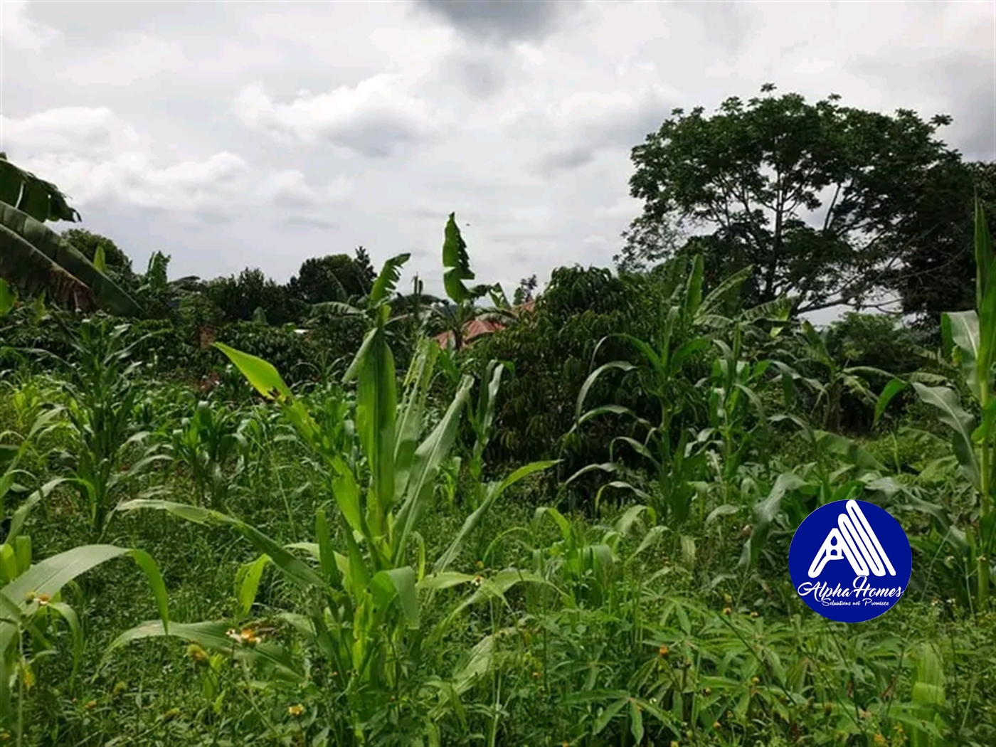 Residential Land for sale in Kabembe Mukono