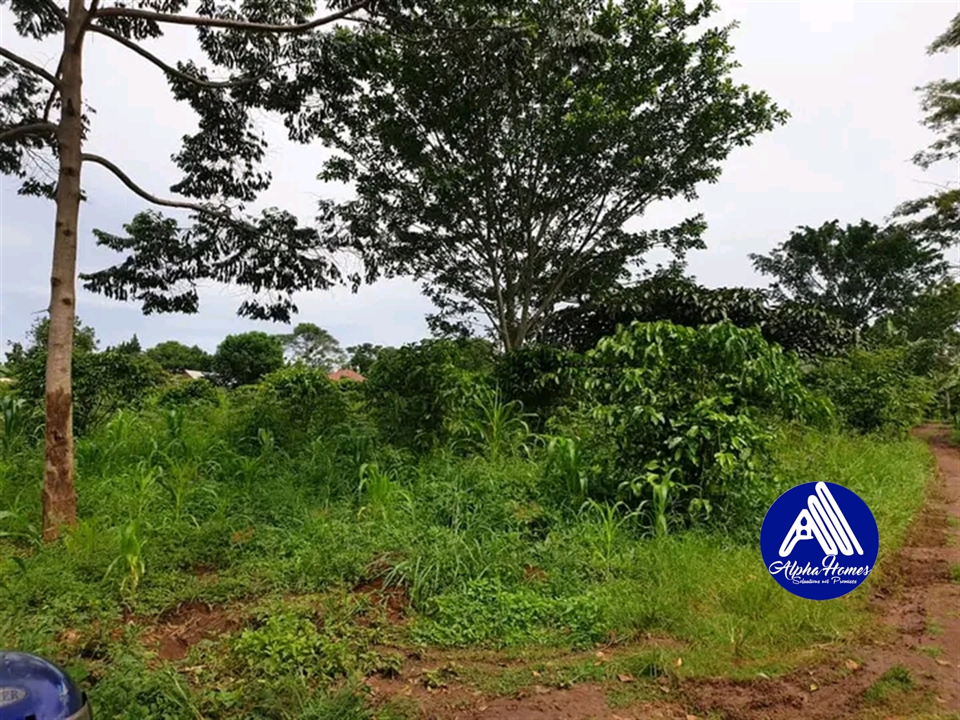 Residential Land for sale in Kabembe Mukono