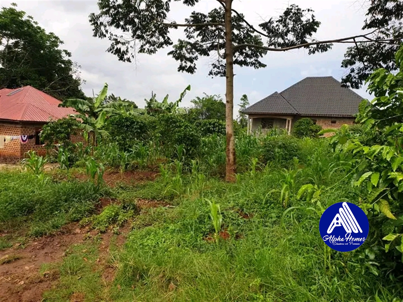 Residential Land for sale in Kabembe Mukono