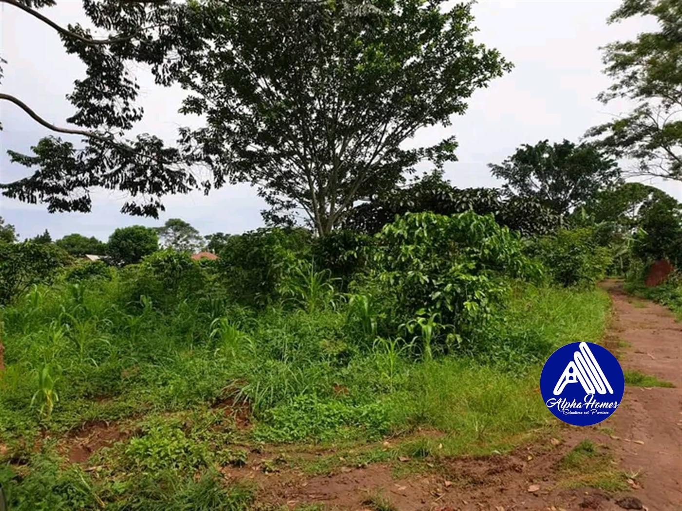 Residential Land for sale in Kabembe Mukono