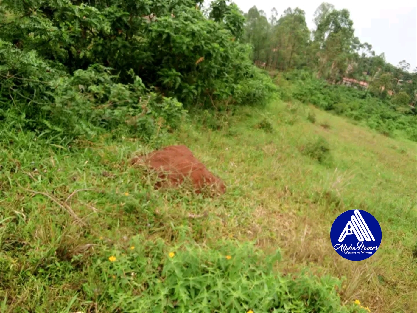 Residential Land for sale in Kira Wakiso