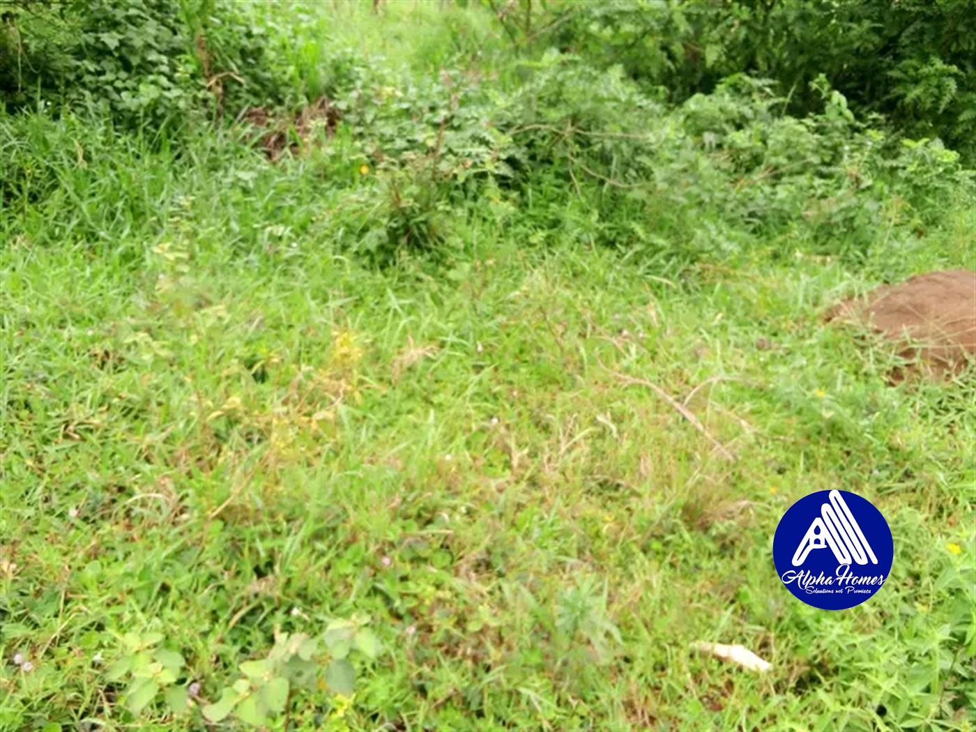 Residential Land for sale in Kira Wakiso