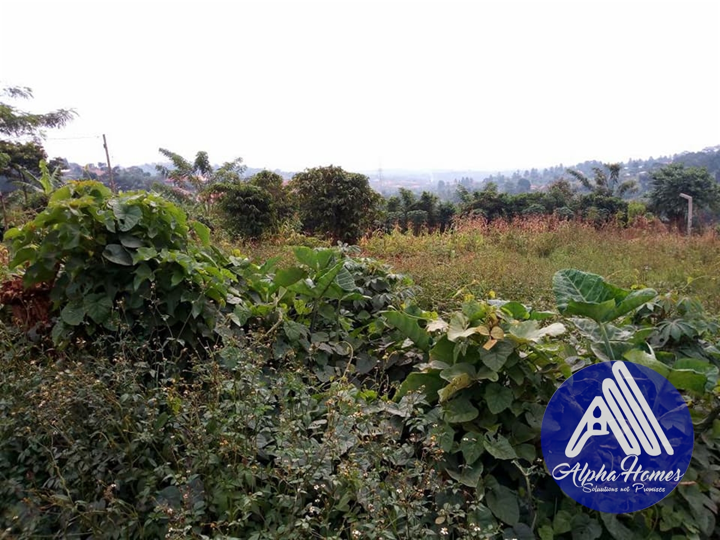 Residential Land for sale in Namugongo Wakiso