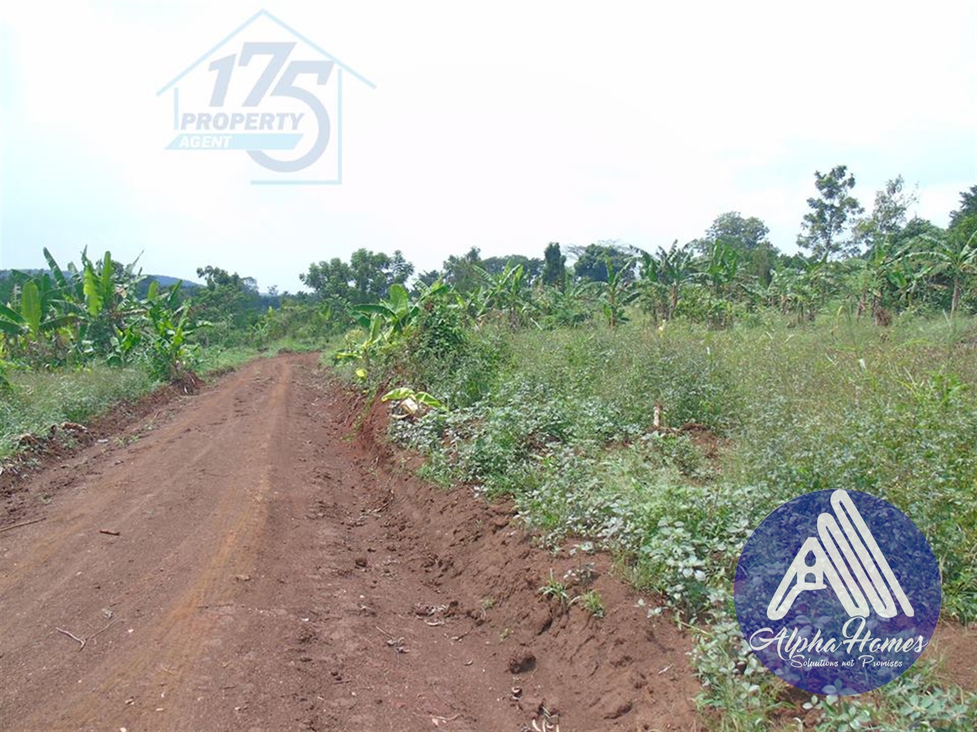 Residential Land for sale in Gayaza Kampala