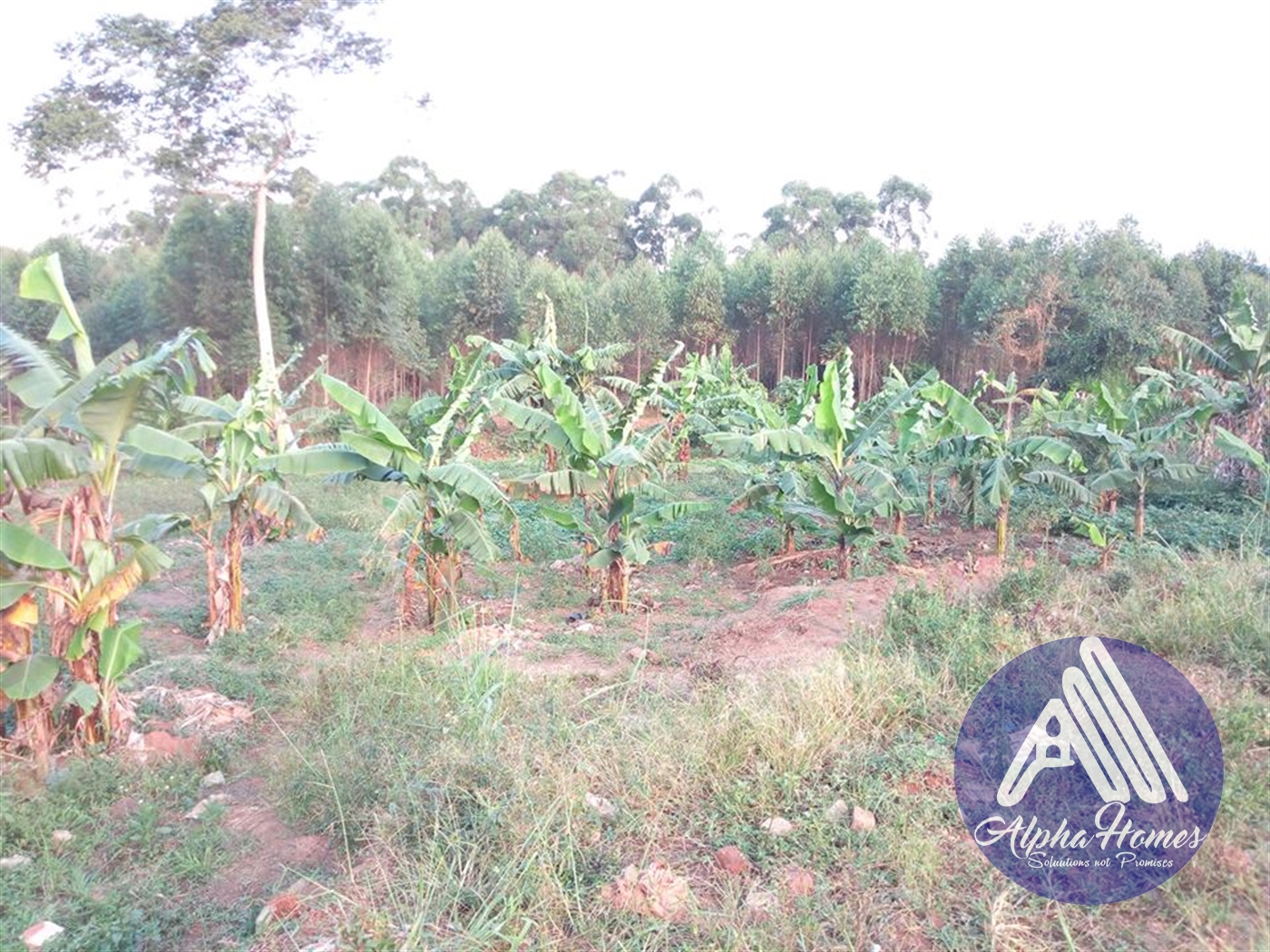 Residential Land for sale in Namugongo Wakiso