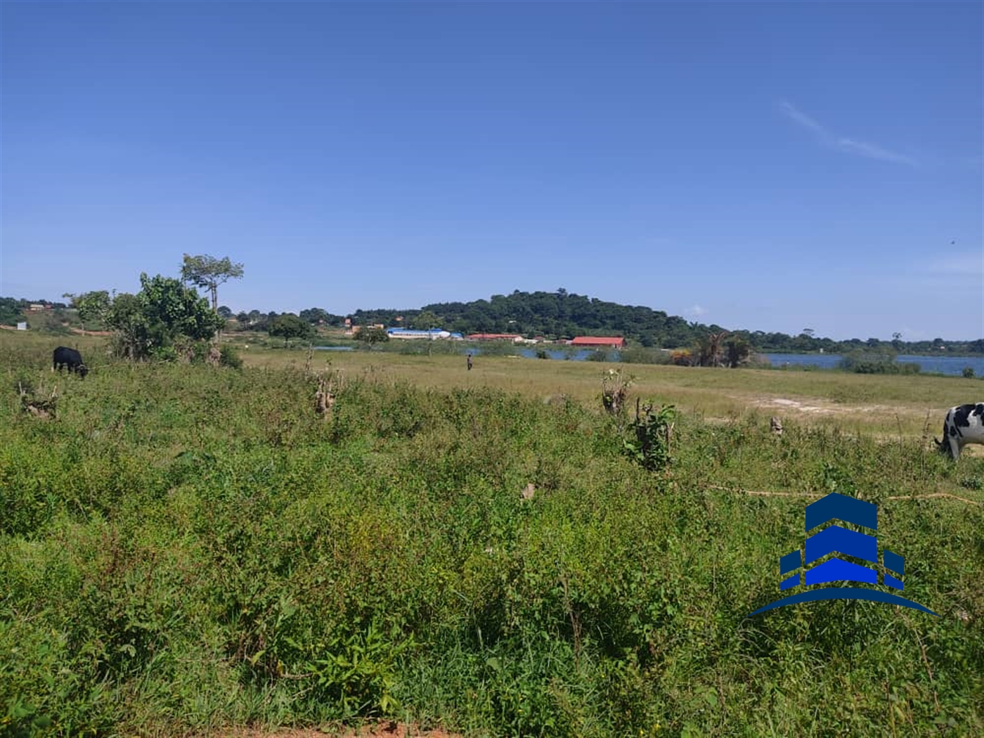 Commercial Land for sale in Garuga Wakiso