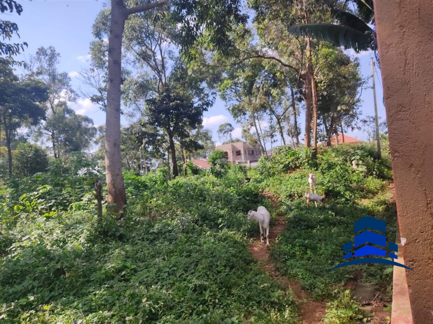 Commercial Land for sale in Naalya Wakiso