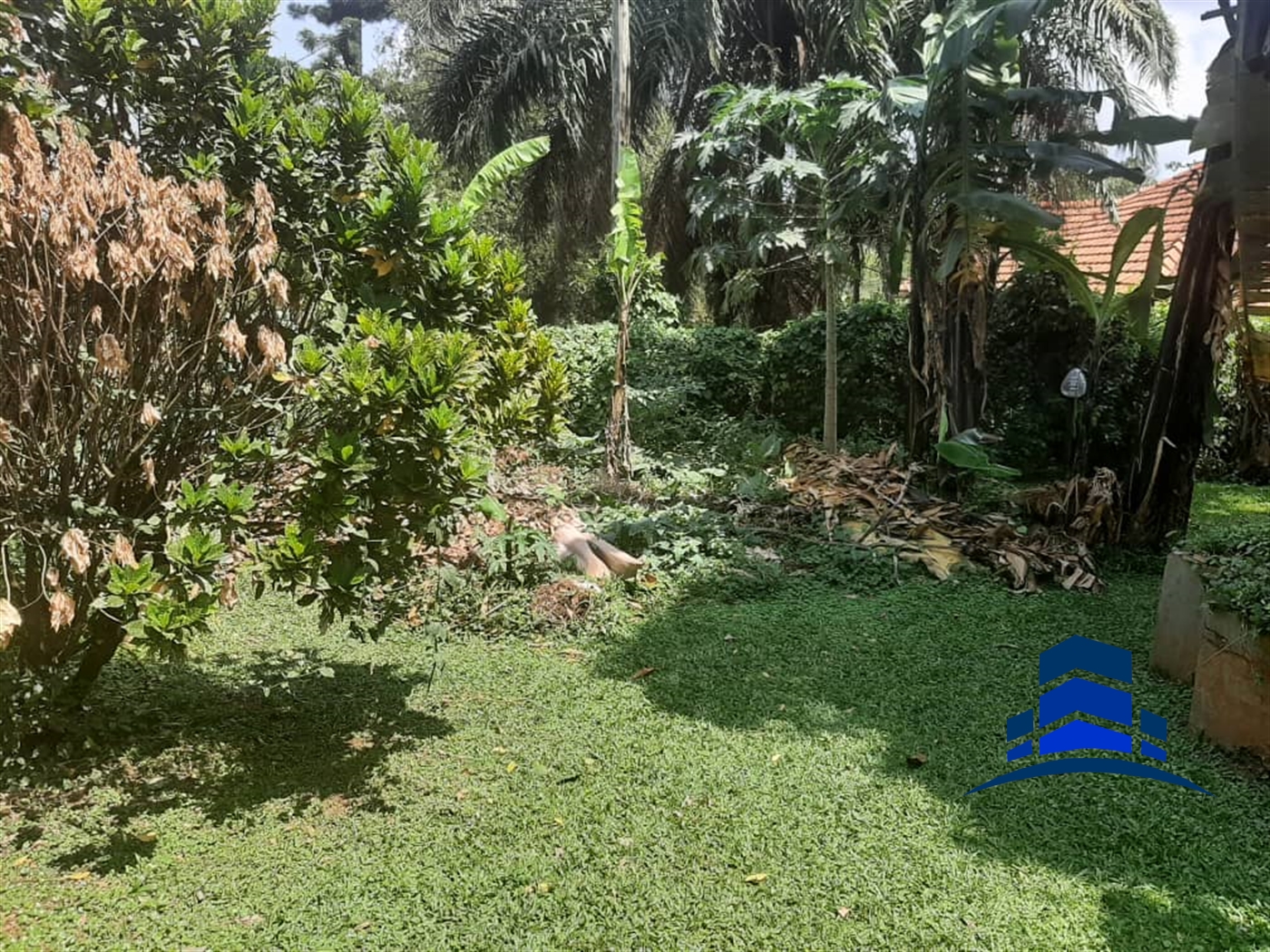 Bungalow for sale in Muyenga Kampala