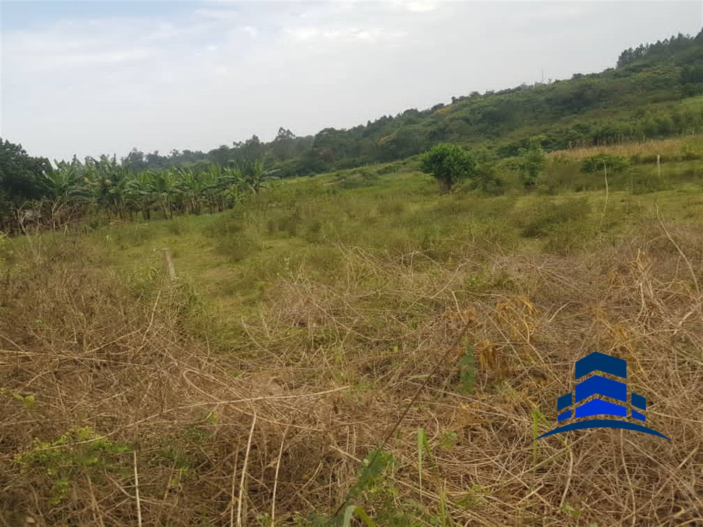 Multipurpose Land for sale in Gayaza Wakiso