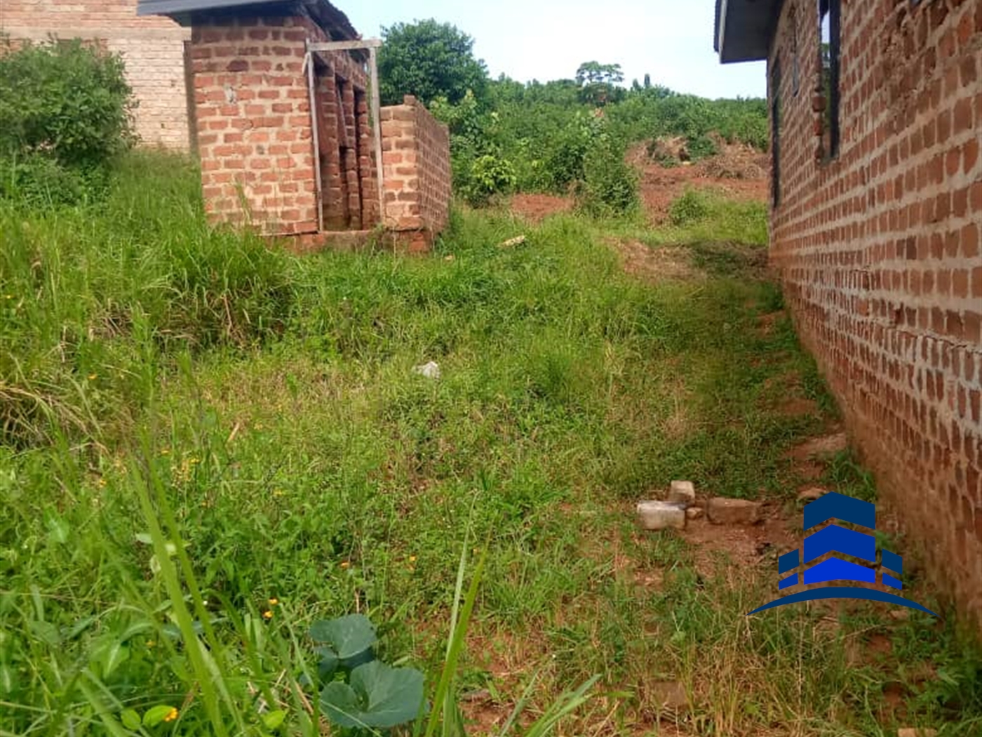 Bungalow for sale in Ssisa Wakiso