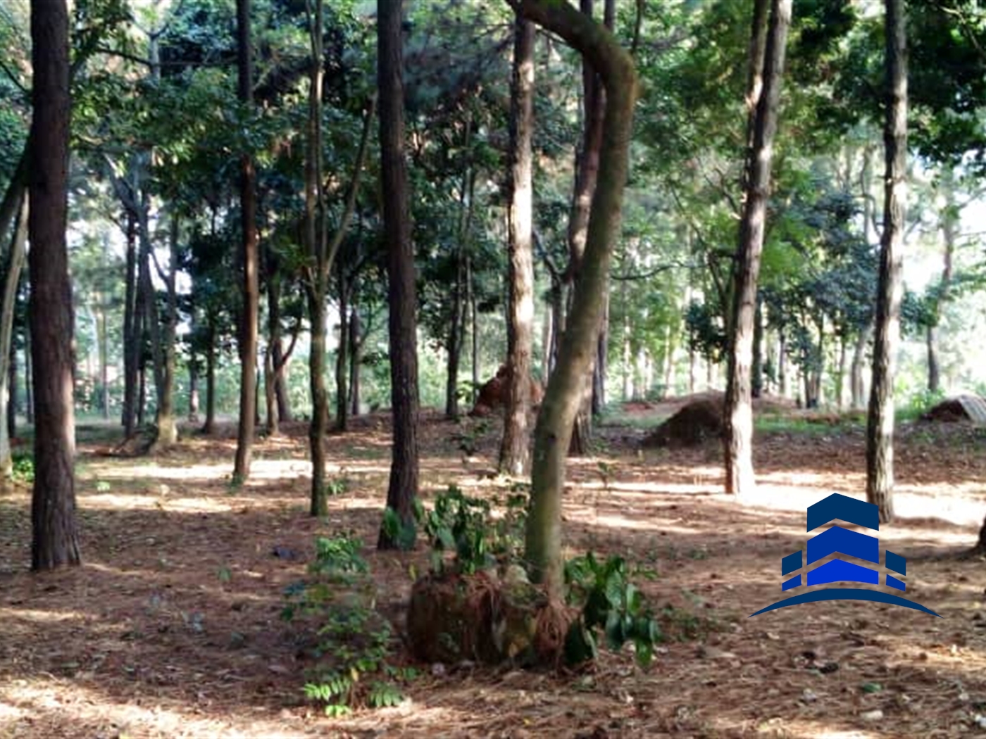 Multipurpose Land for sale in Kawuku Wakiso