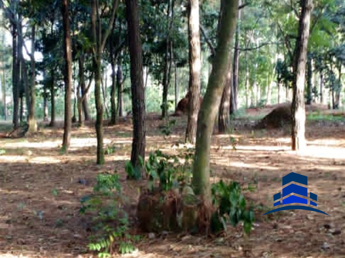 Multipurpose Land for sale in Kawuku Wakiso