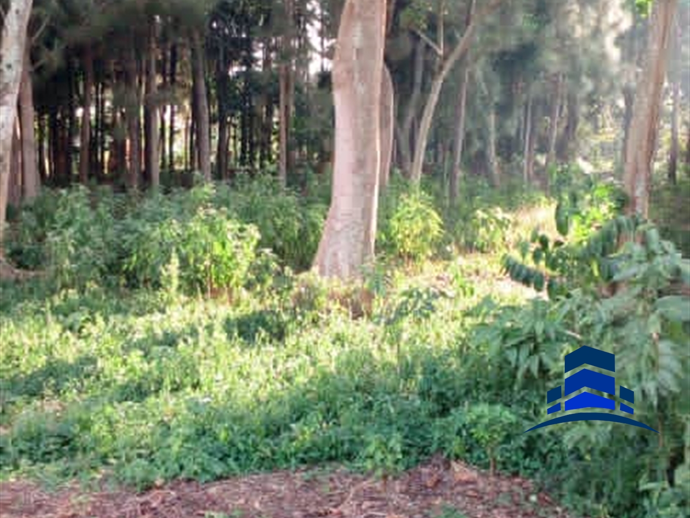 Multipurpose Land for sale in Kawuku Wakiso