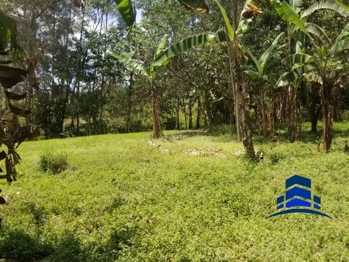 Recreational Land for sale in Njeru Buyikwe