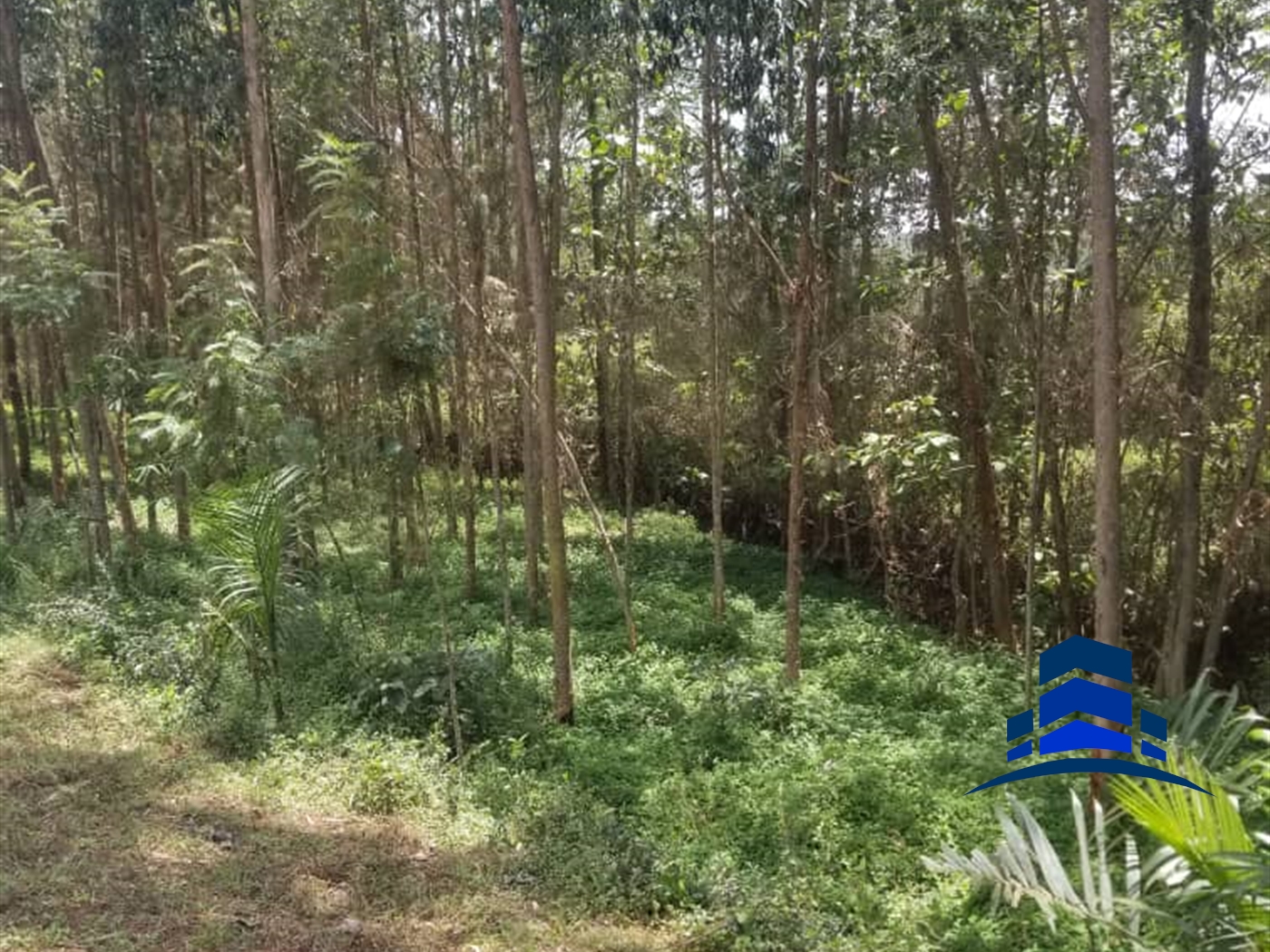 Recreational Land for sale in Njeru Buyikwe