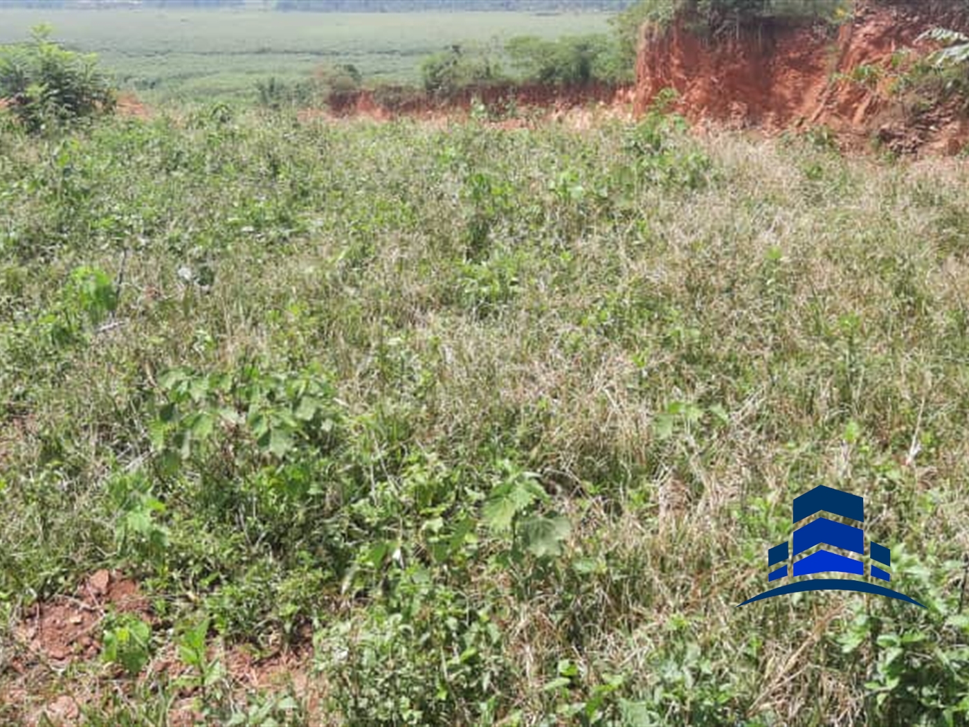 Multipurpose Land for sale in Nkoowe Wakiso