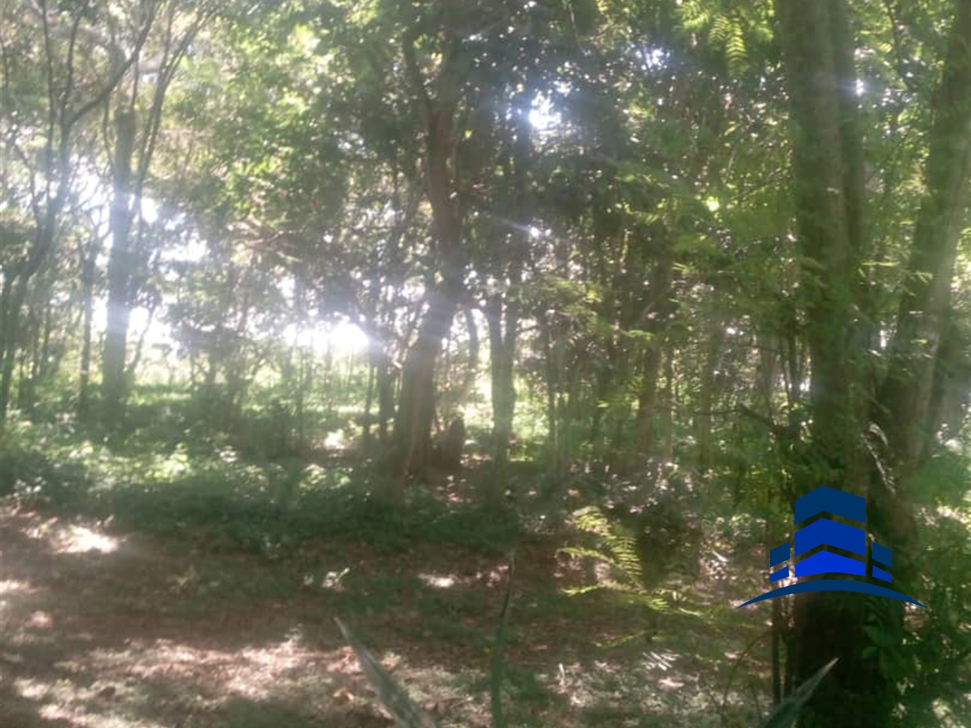 Multipurpose Land for sale in Garuga Wakiso