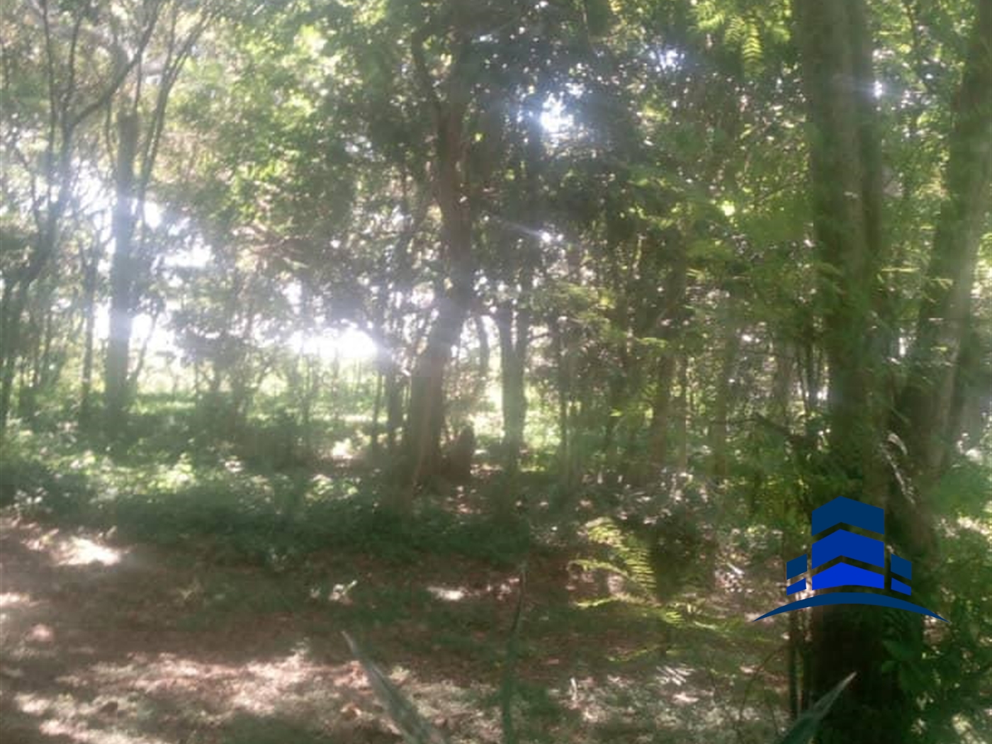 Commercial Land for sale in Garuga Wakiso