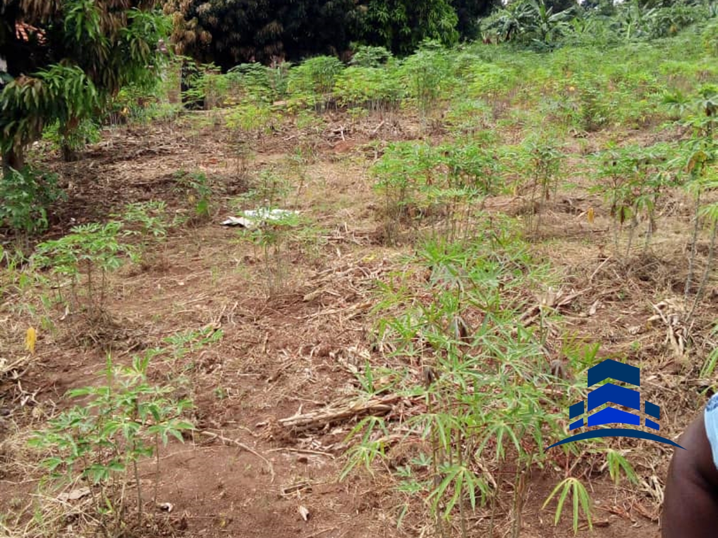 Residential Land for sale in Bwelenga Wakiso