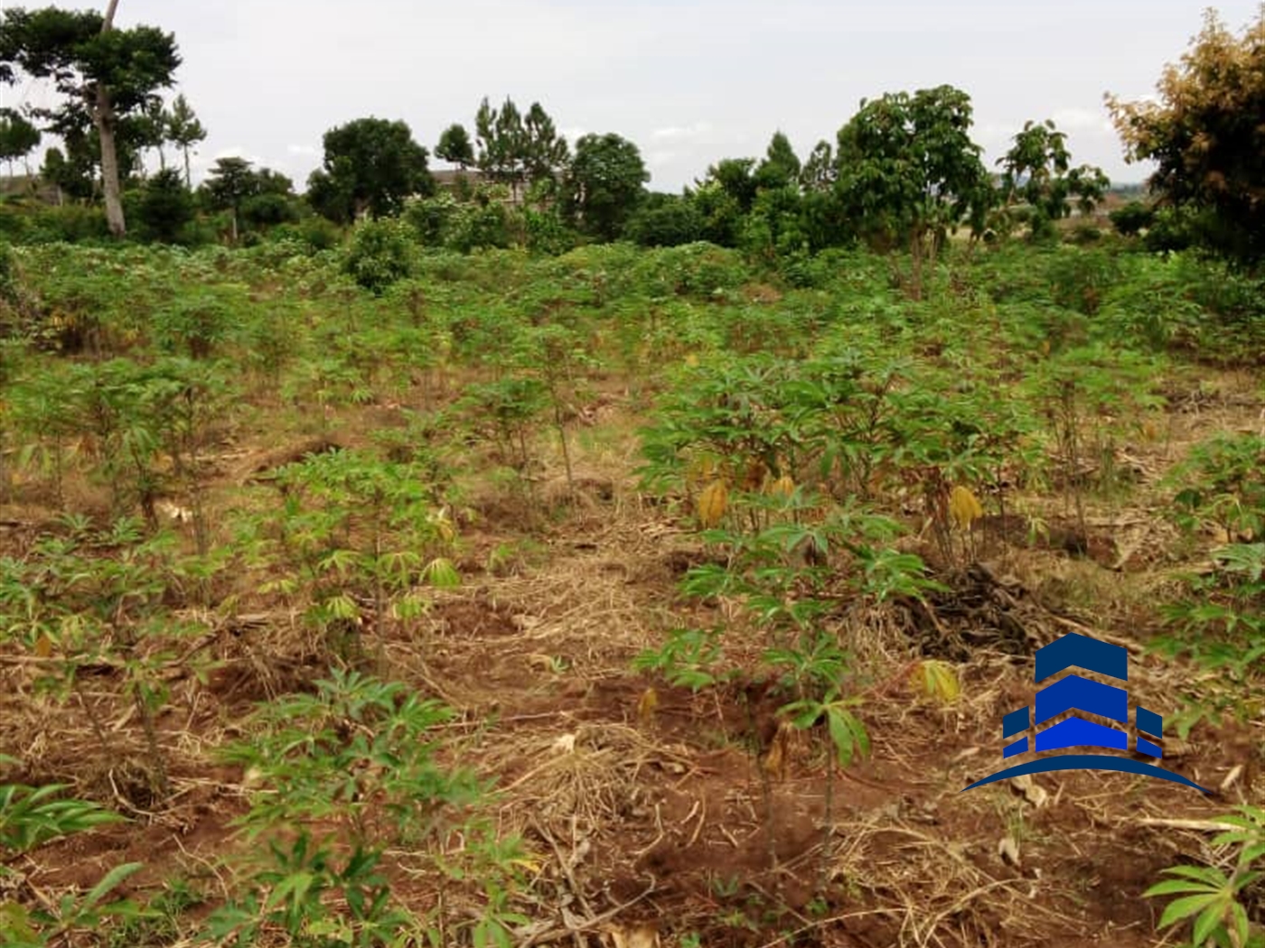 Residential Land for sale in Bwelenga Wakiso