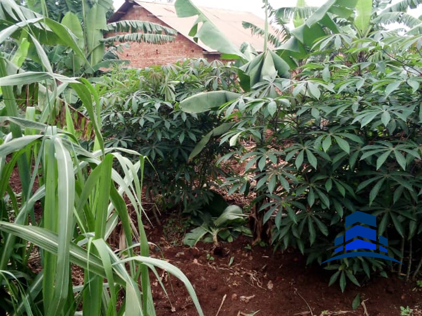 Commercial Land for sale in Bwelenga Wakiso