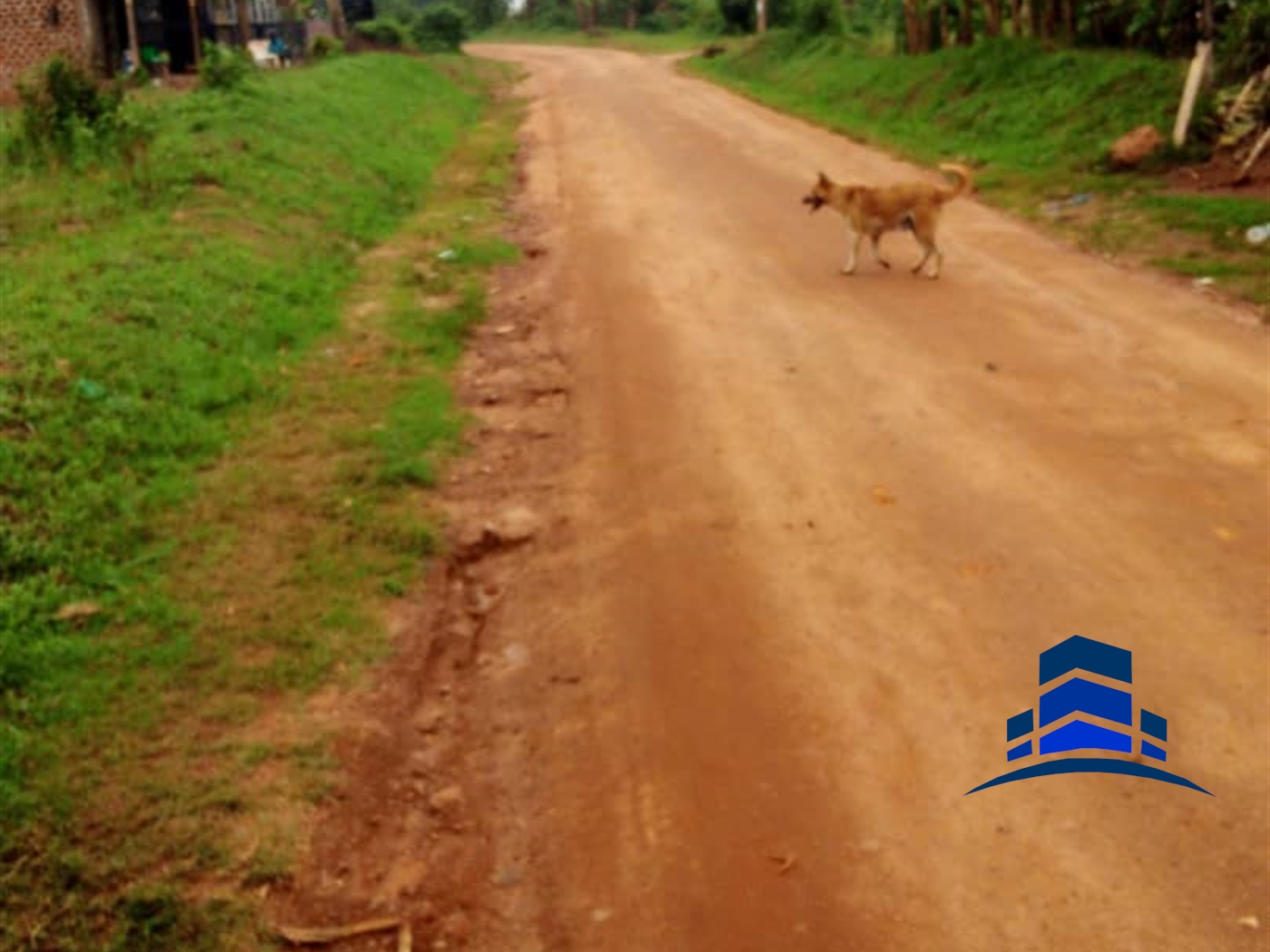 Commercial Land for sale in Bwelenga Wakiso