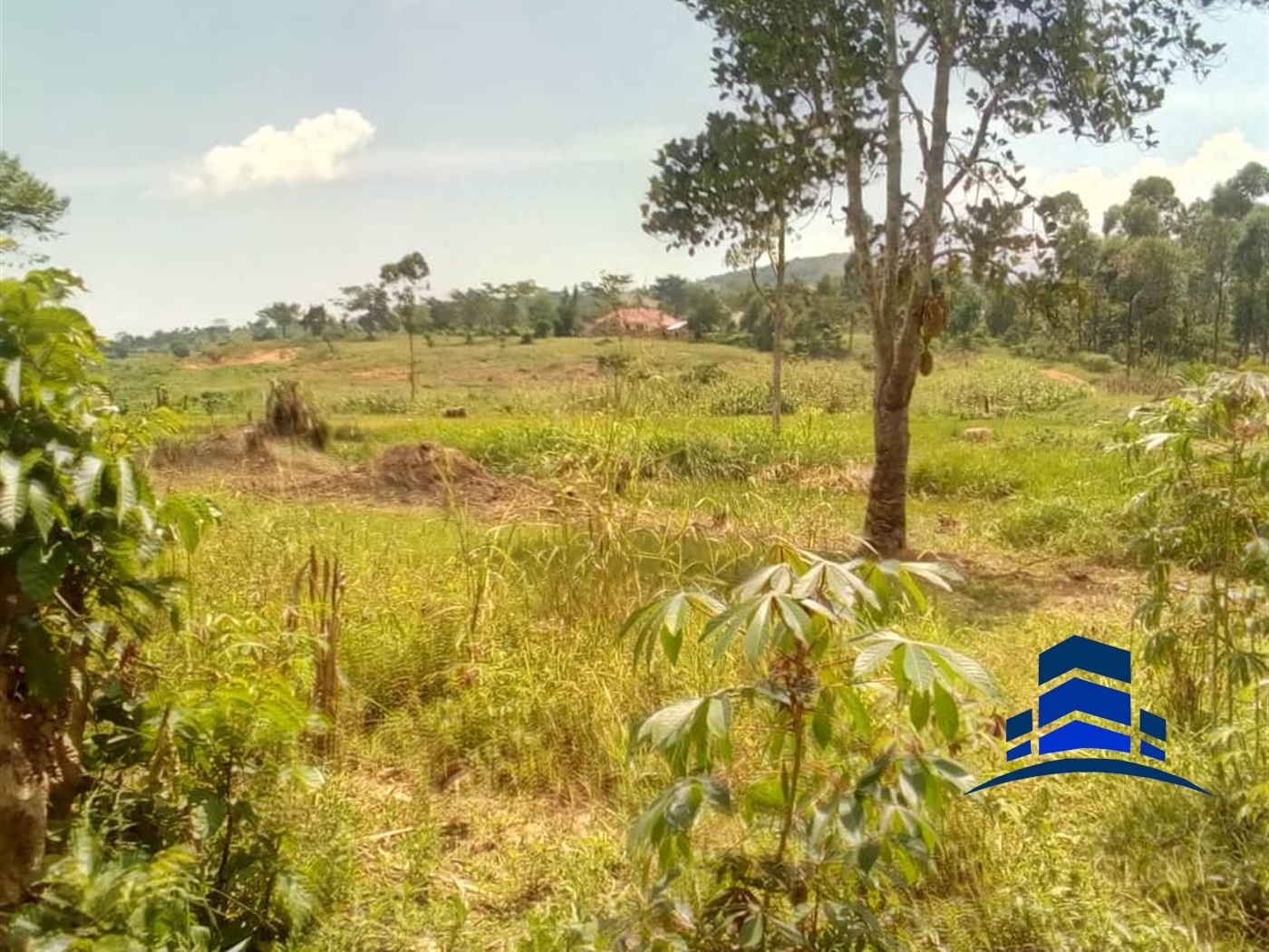 Residential Land for sale in Namawojjolo Mukono