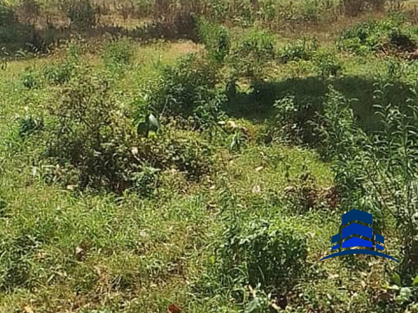 Residential Land for sale in Kawuku Wakiso