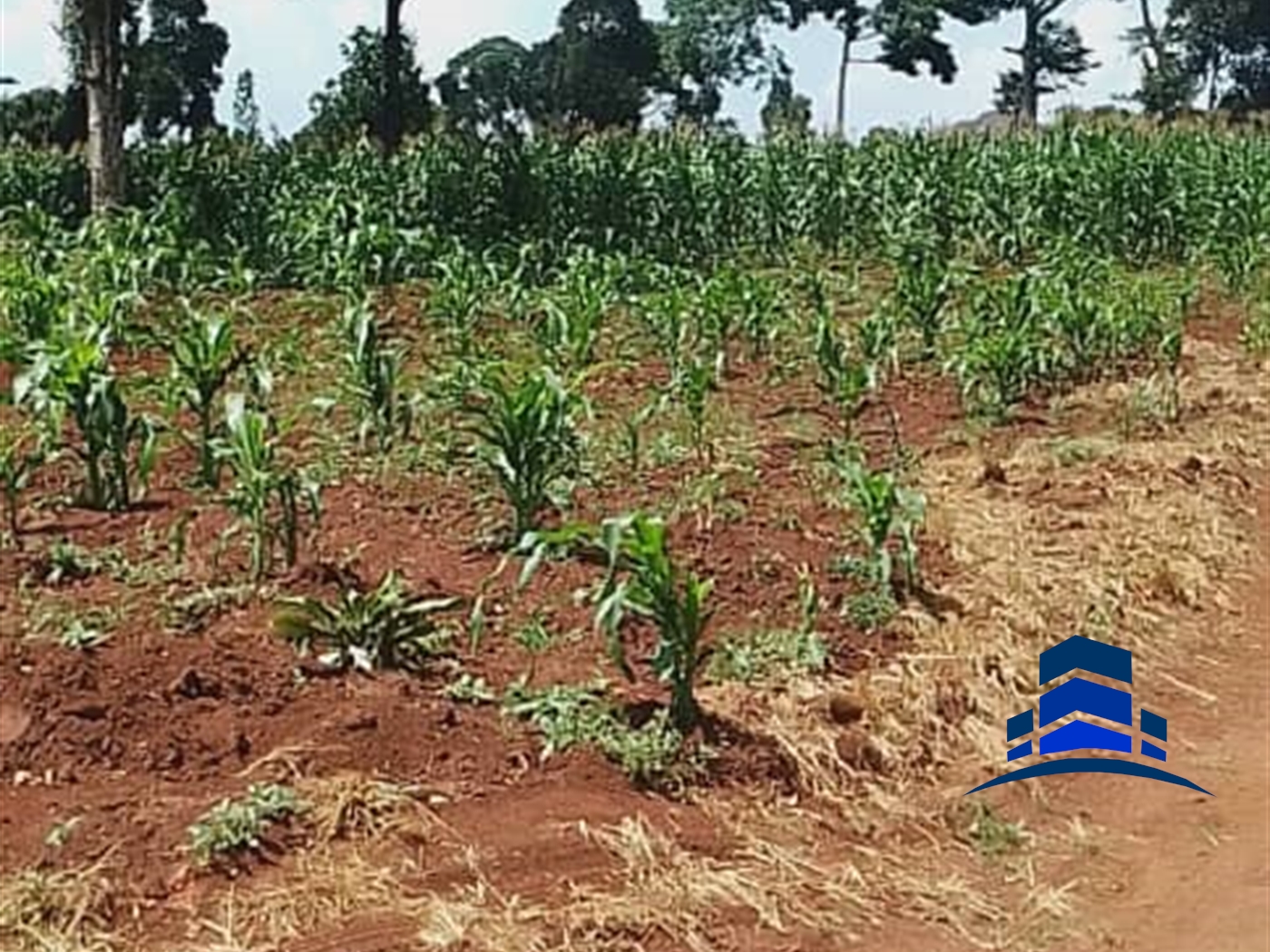 Residential Land for sale in Kawuku Wakiso