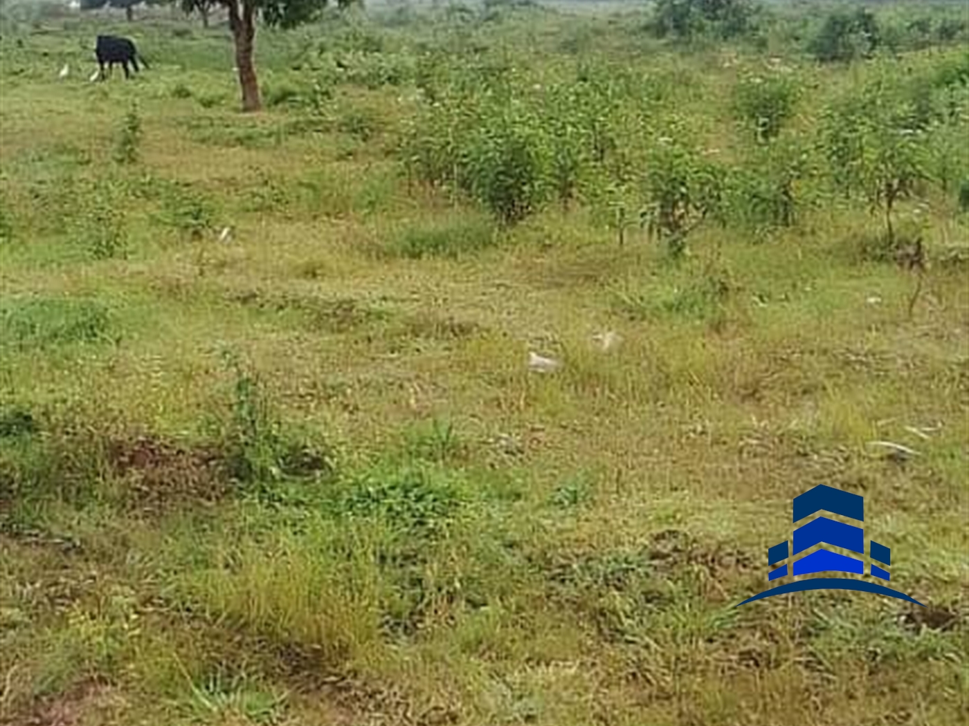 Residential Land for sale in Kawuku Wakiso