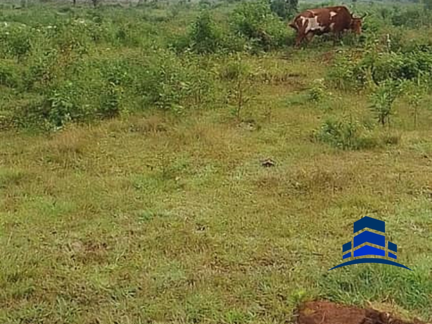 Residential Land for sale in Kawuku Wakiso