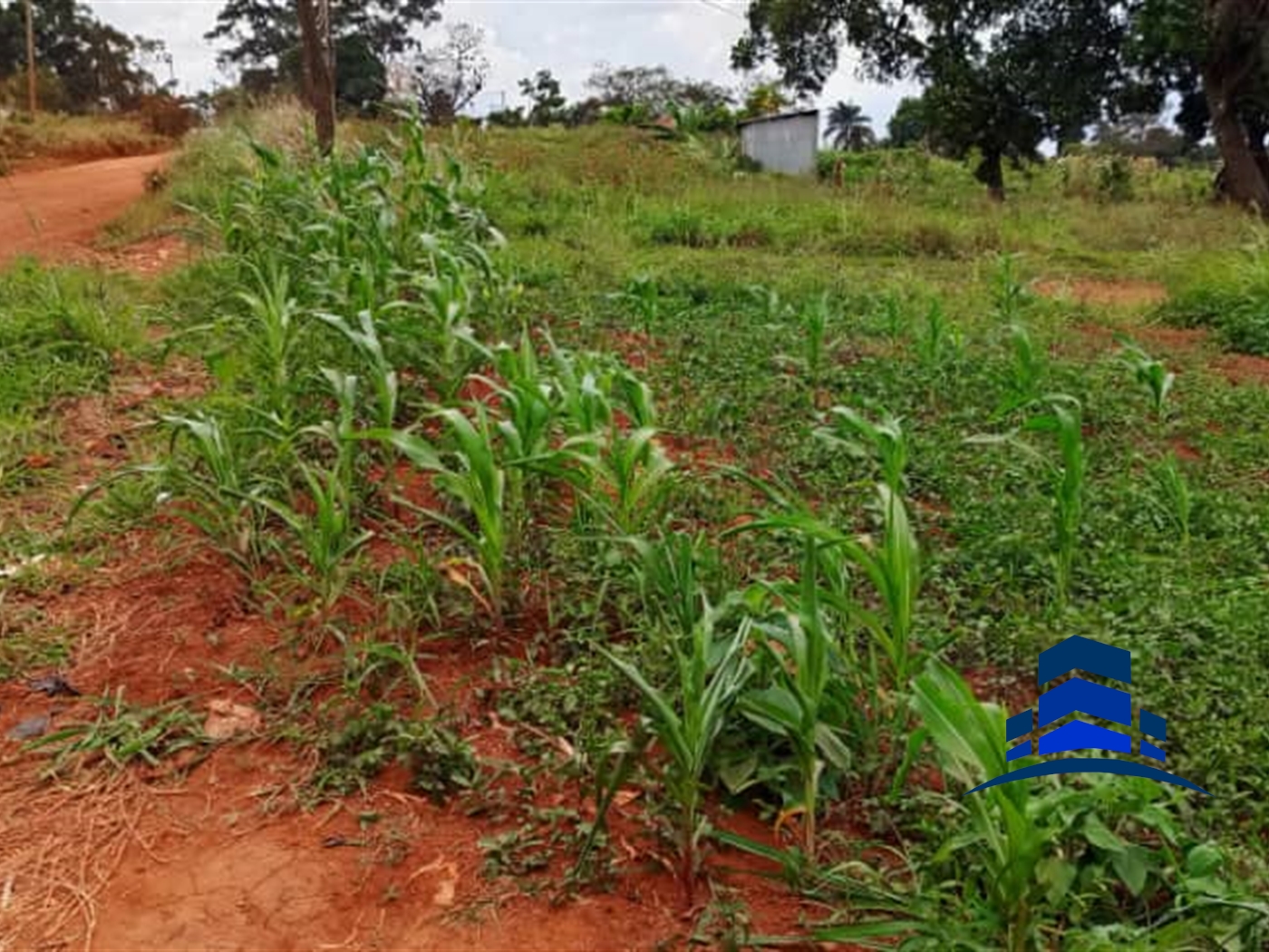 Commercial Land for sale in Naguru Kampala