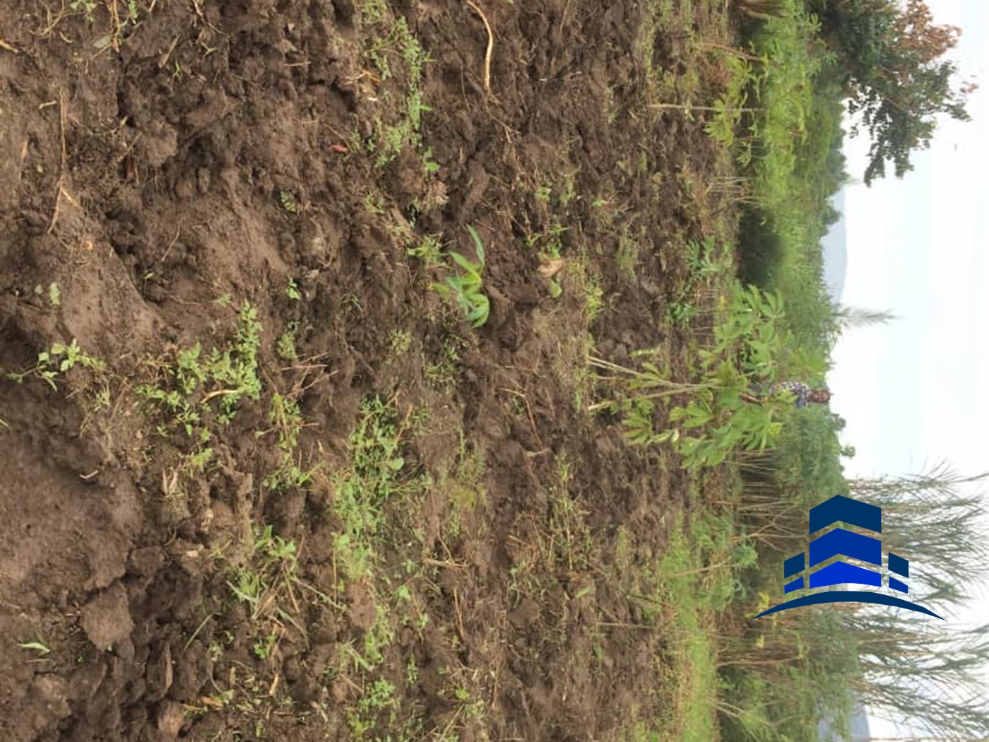 Agricultural Land for sale in Mbararatwn Mbarara