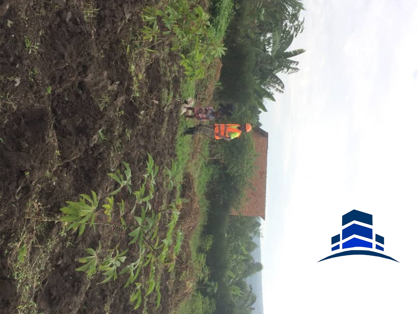 Agricultural Land for sale in Mbararatwn Mbarara