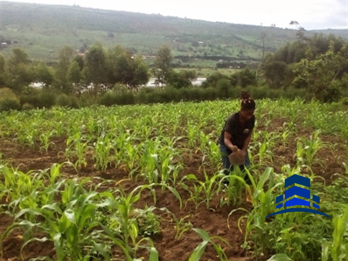 Agricultural Land for sale in Mbararatwn Mbarara