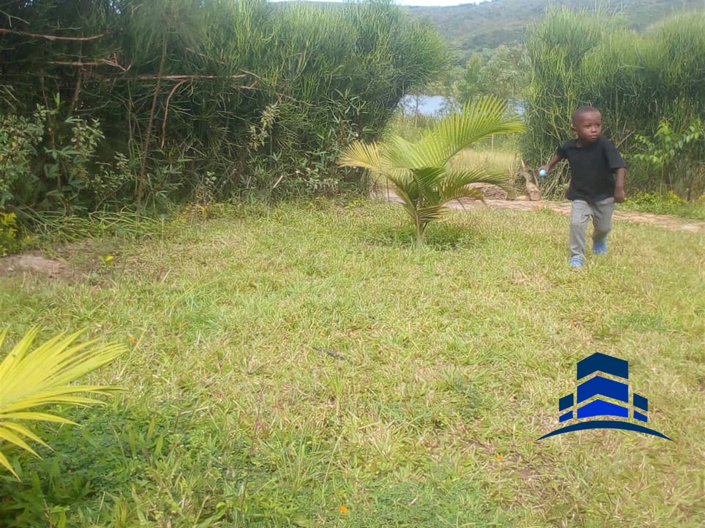 Agricultural Land for sale in Mbararatwn Mbarara