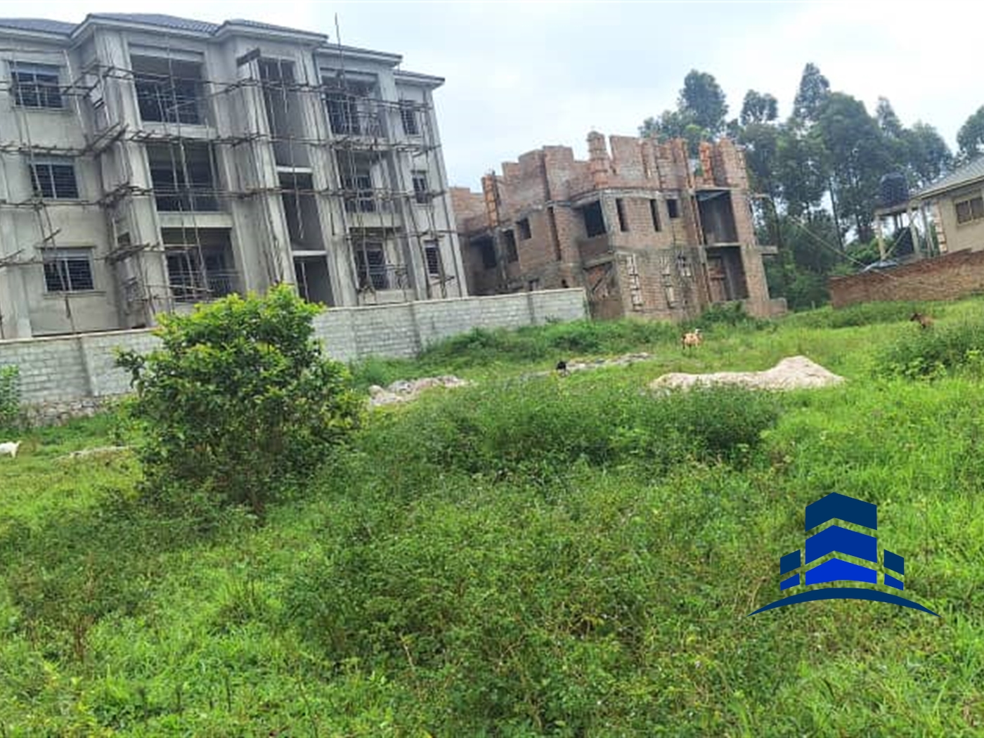 Residential Land for sale in Kiramulawa Wakiso