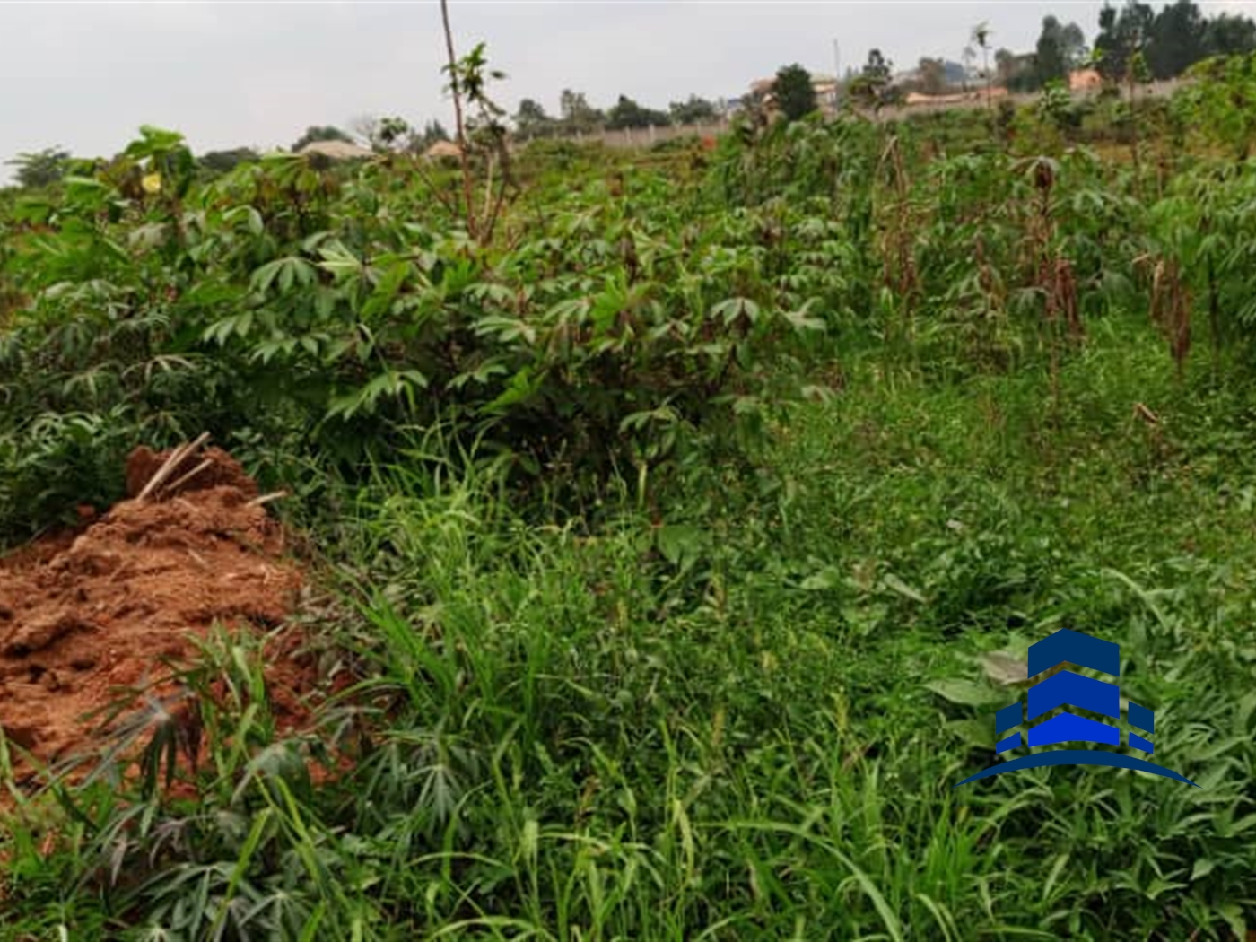 Commercial Land for sale in Namanve Mukono