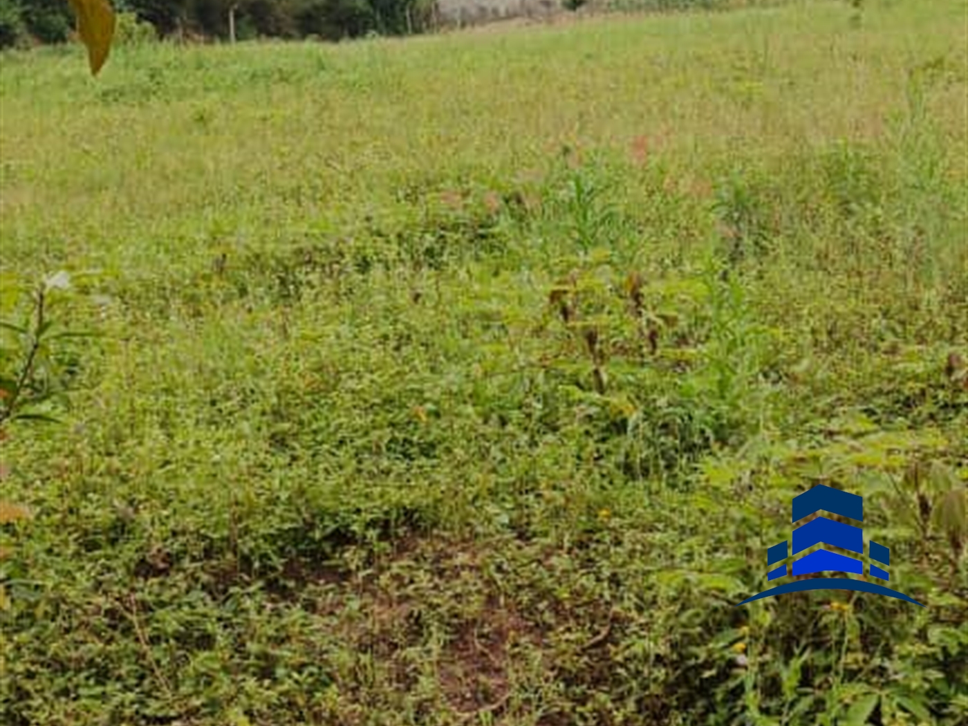 Residential Land for sale in Kiteetikka Wakiso