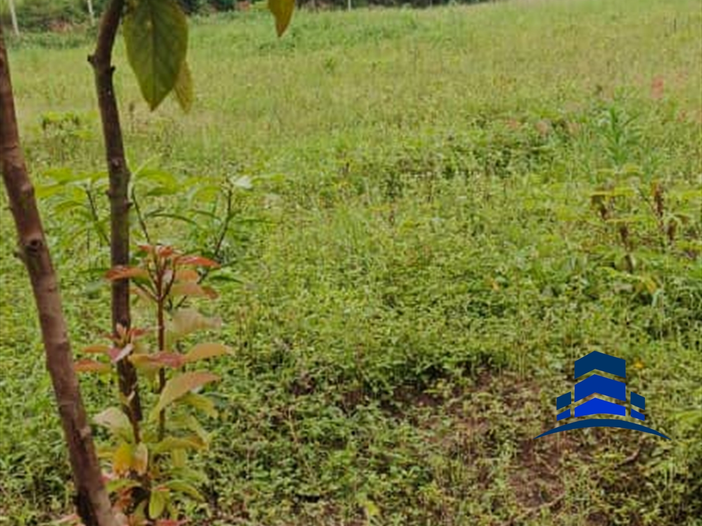 Residential Land for sale in Kiteetikka Wakiso