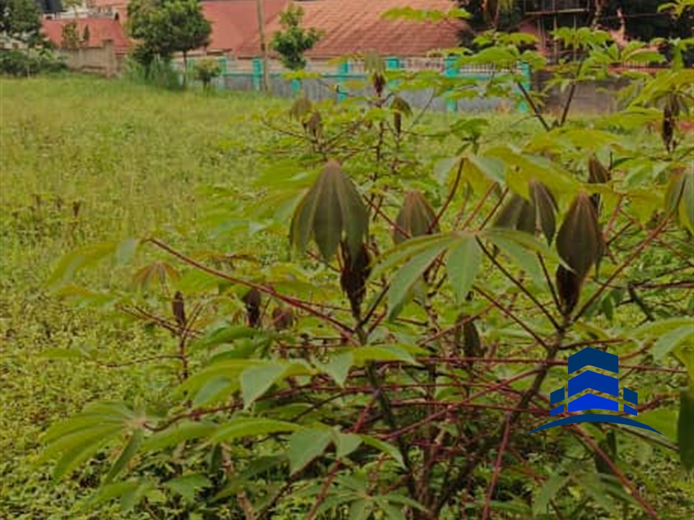 Residential Land for sale in Kiteetikka Wakiso