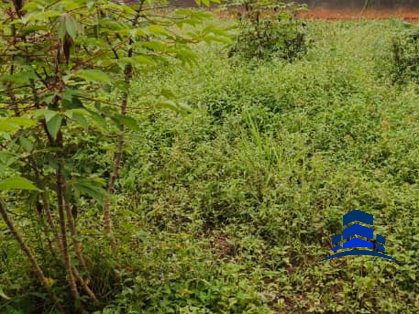 Residential Land for sale in Kiteetikka Wakiso